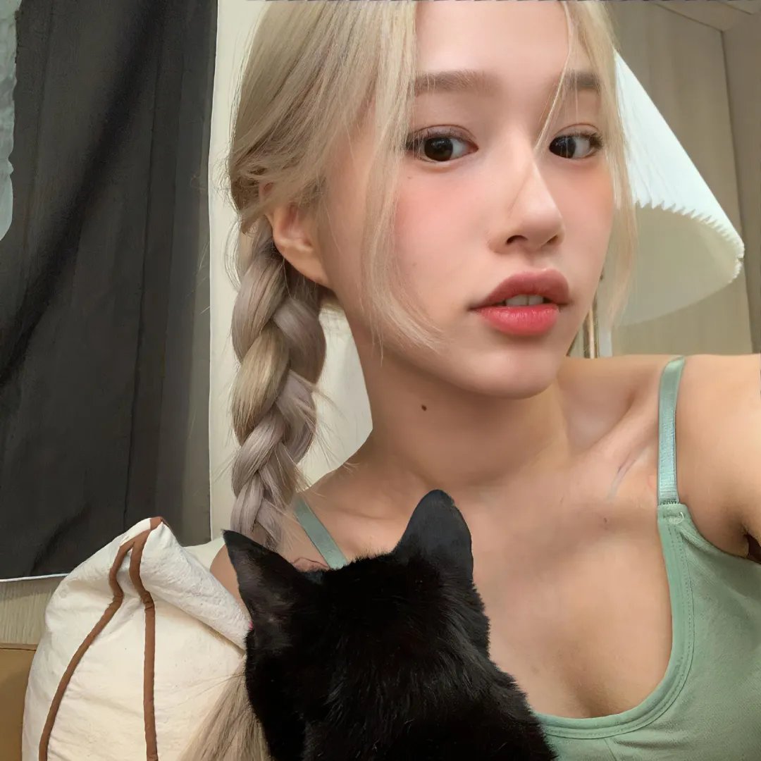 纸房子:全球热潮